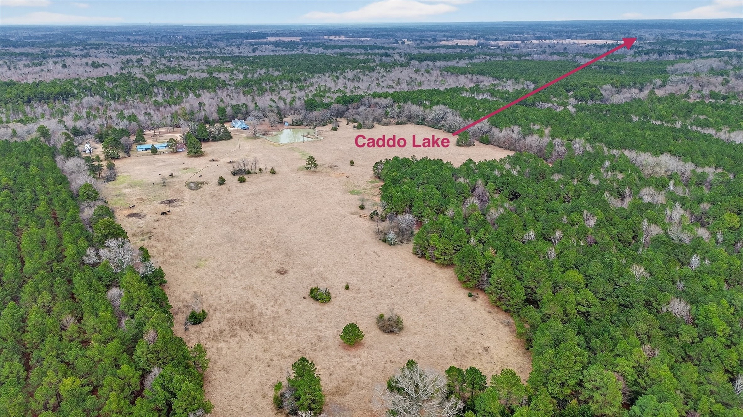 720 Haggerty Road Karnack TX 75661
