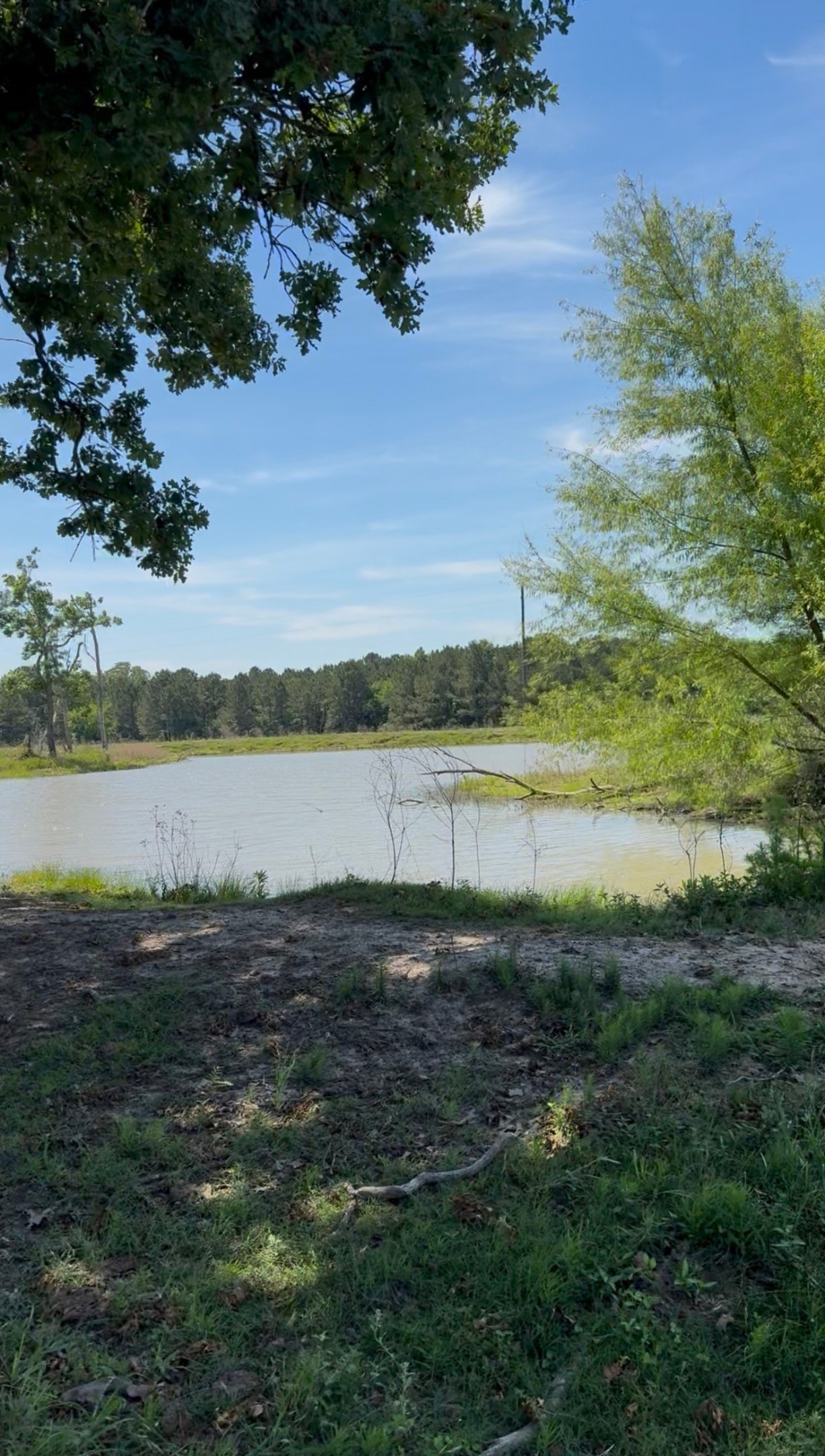 720 Haggerty Road Karnack TX 75661