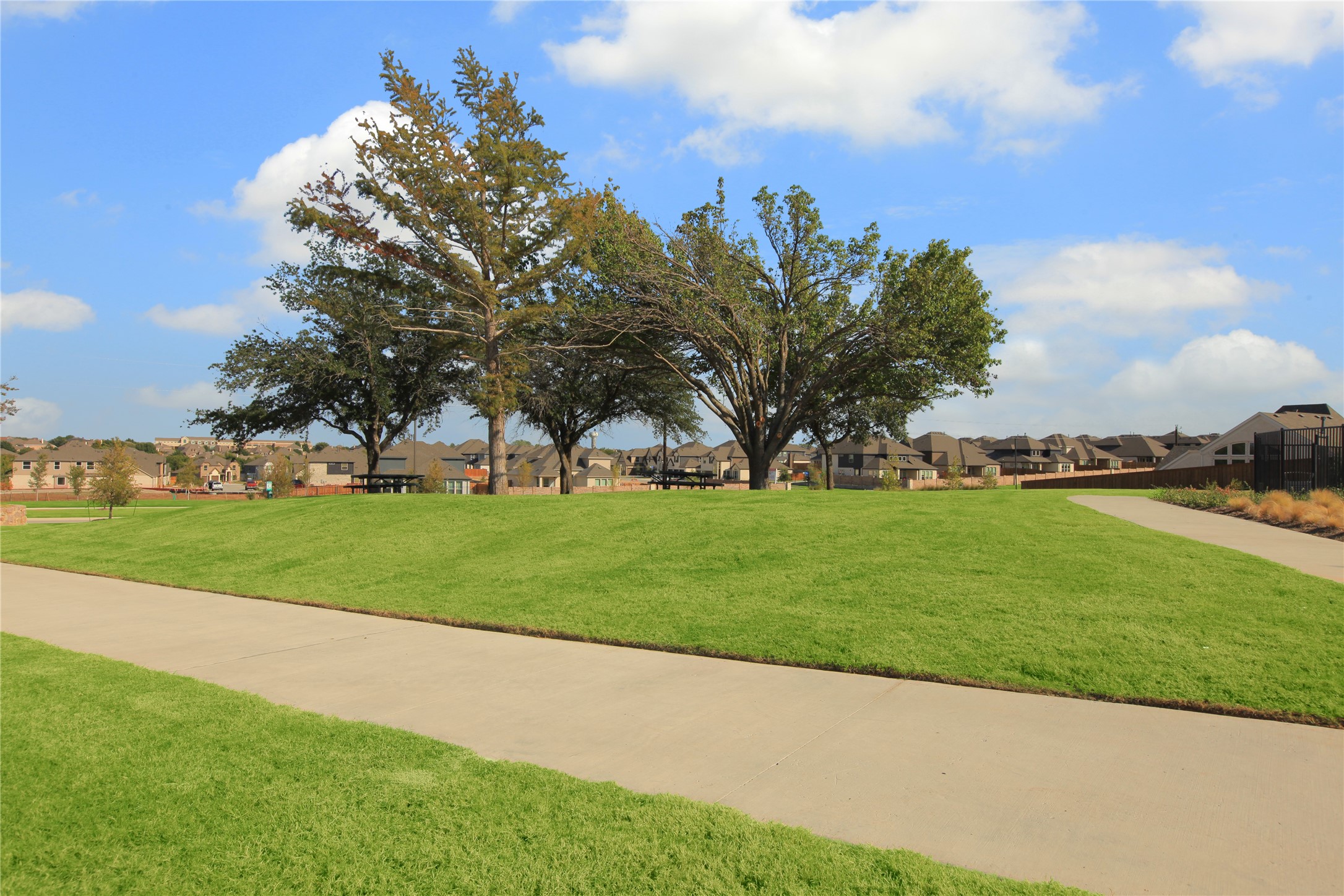 1406 Potenza Road Fate TX 75087