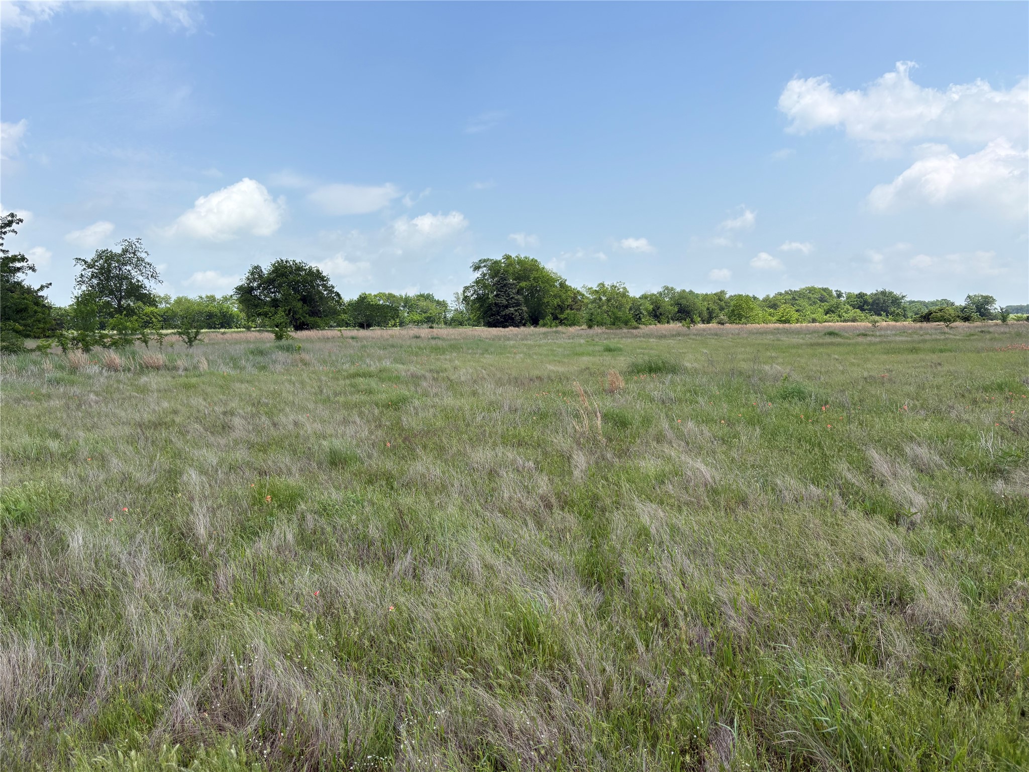 896 County Road 4713 Sulphur Springs TX 75482