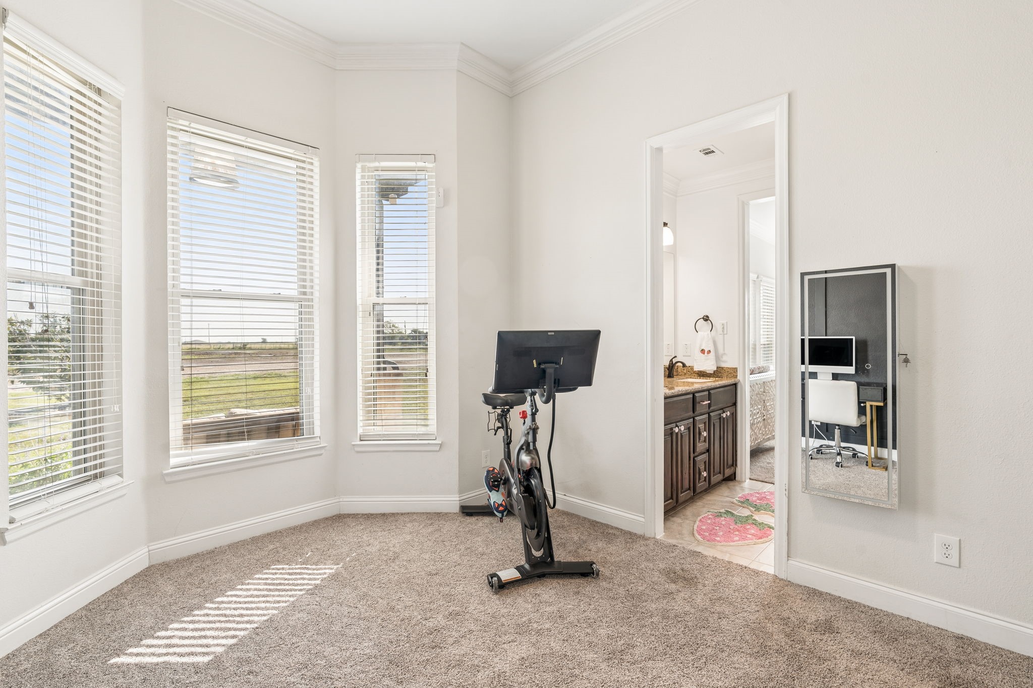 14341 Sam Reynolds Road Justin TX 76247