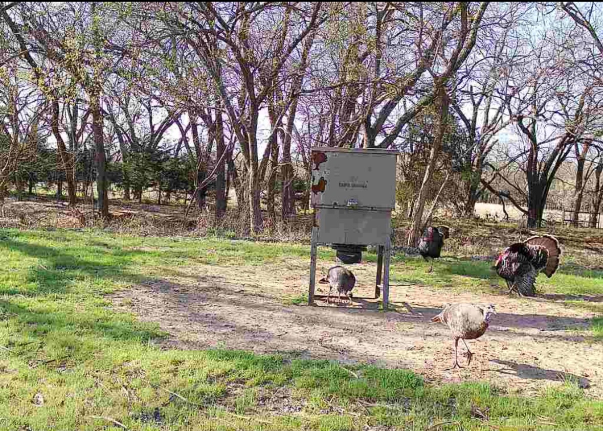 2011 County Road 1590 Alvord TX 76225