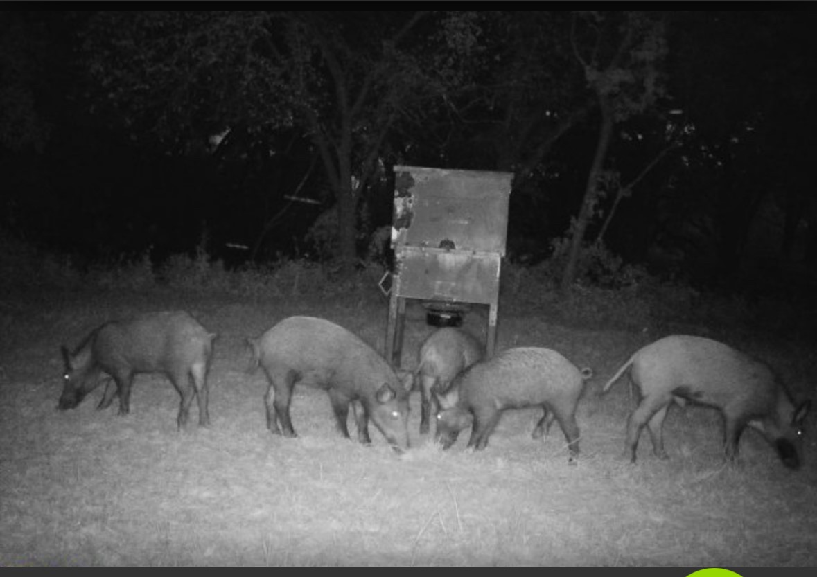 2011 County Road 1590 Alvord TX 76225
