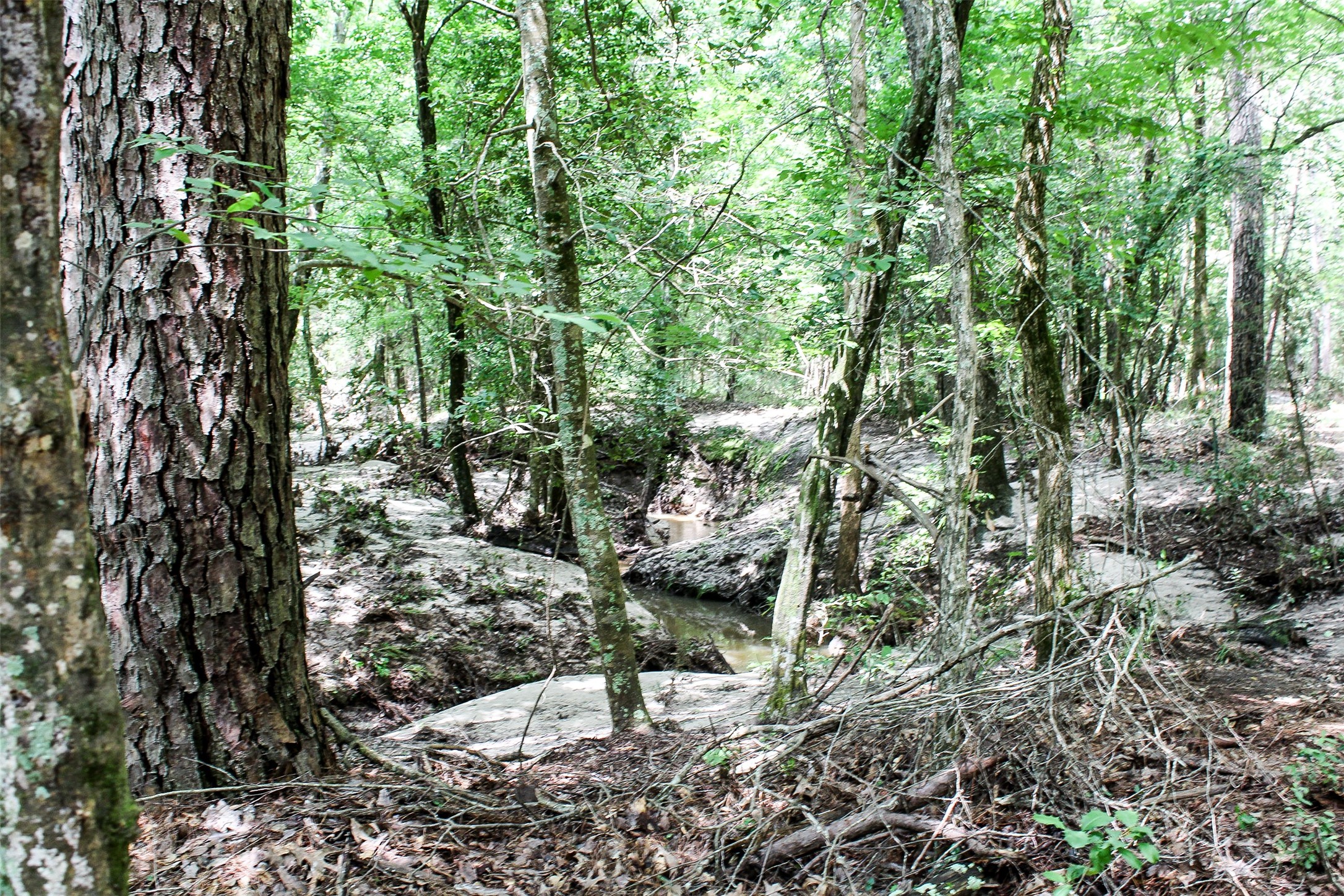 2733 County Road 1560 Grapeland TX 75844