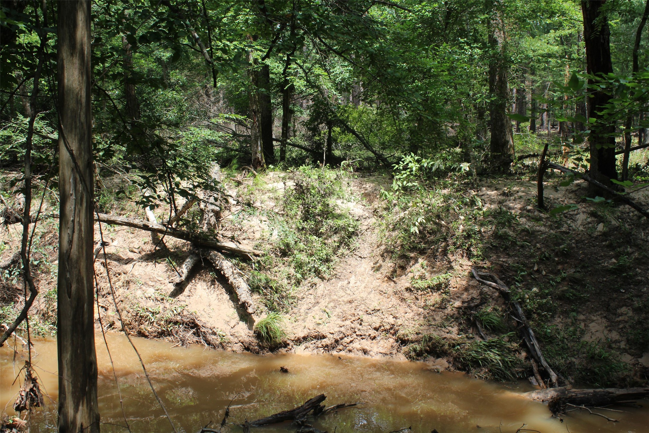 2733 County Road 1560 Grapeland TX 75844
