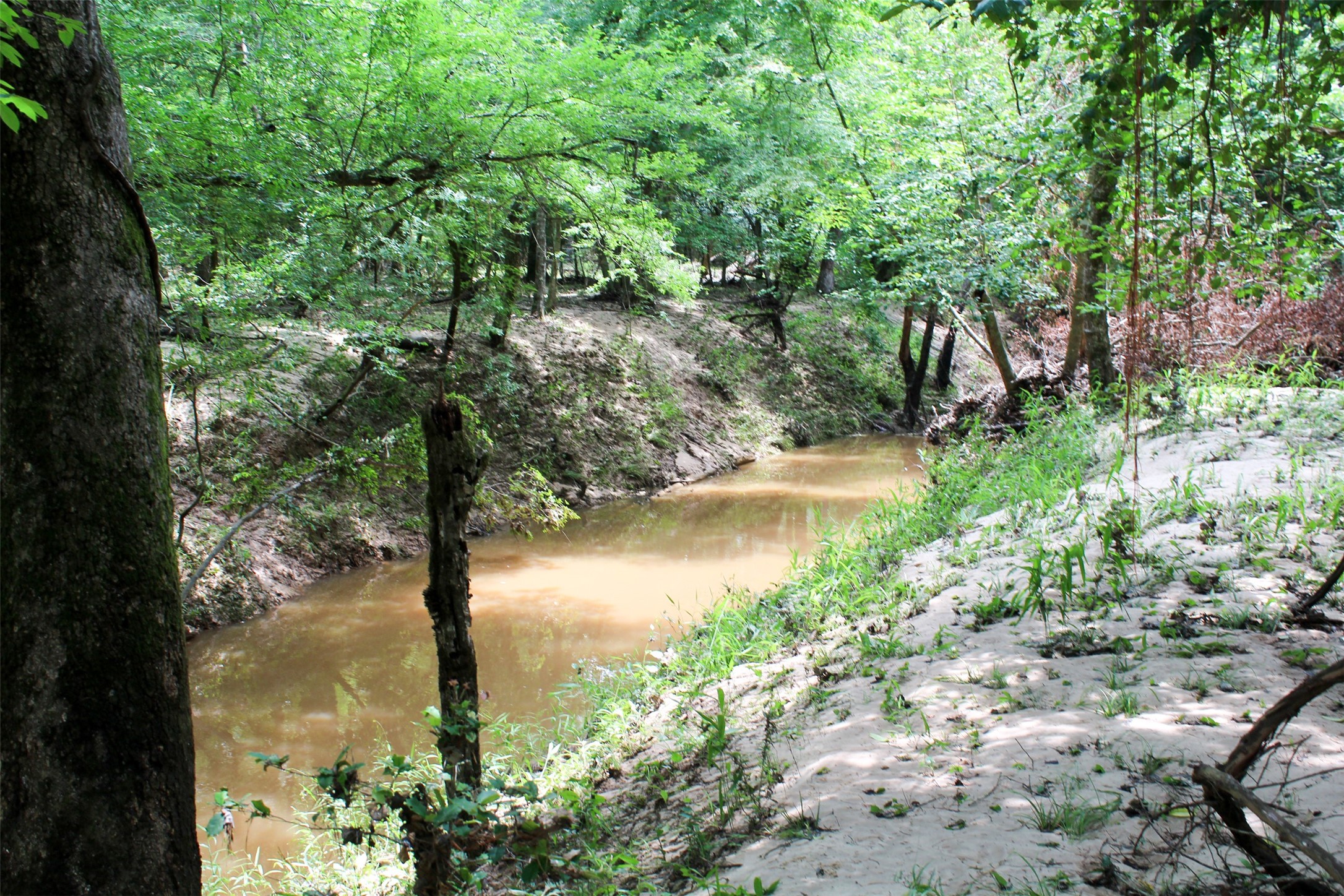 2733 County Road 1560 Grapeland TX 75844
