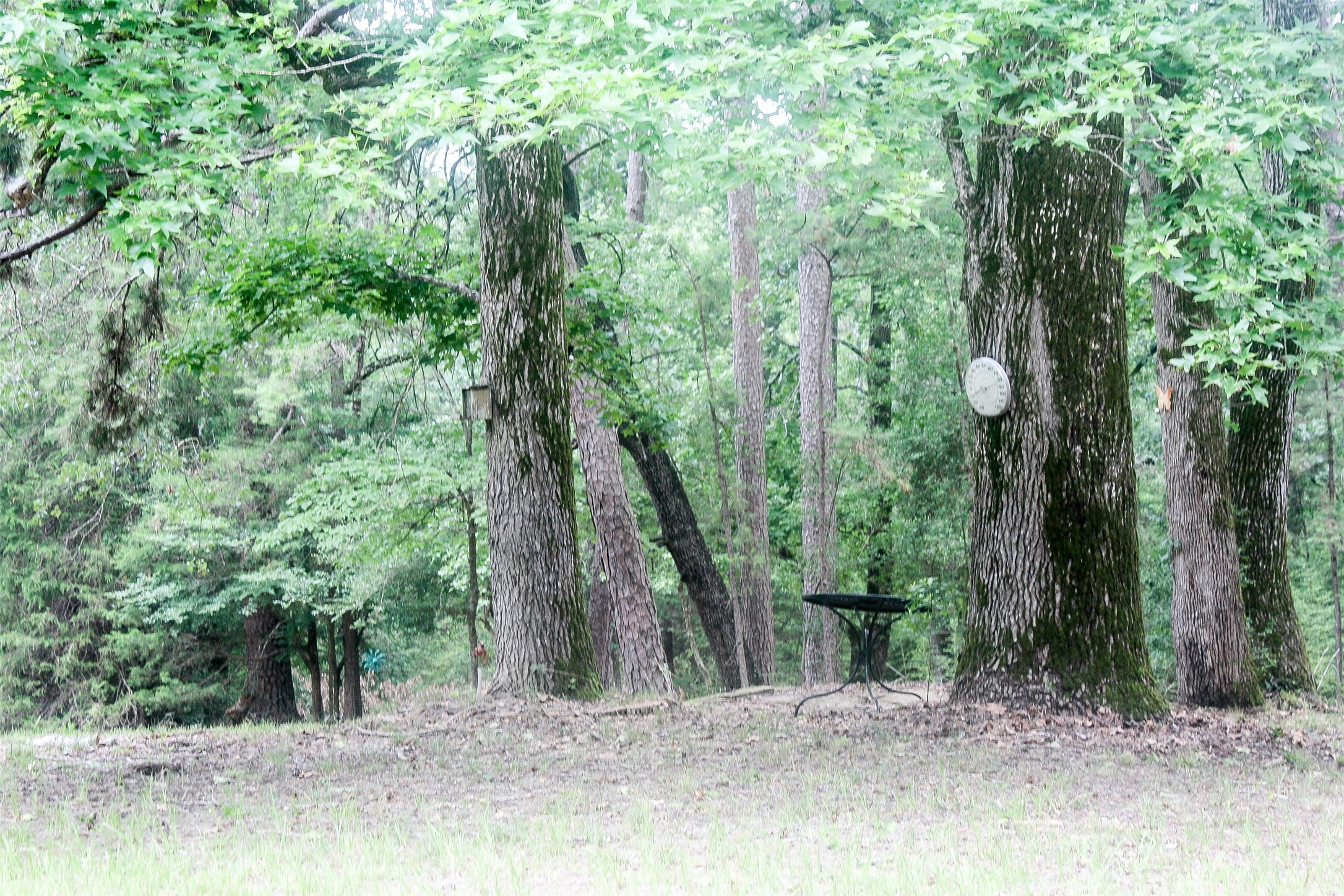 2733 County Road 1560 Grapeland TX 75844