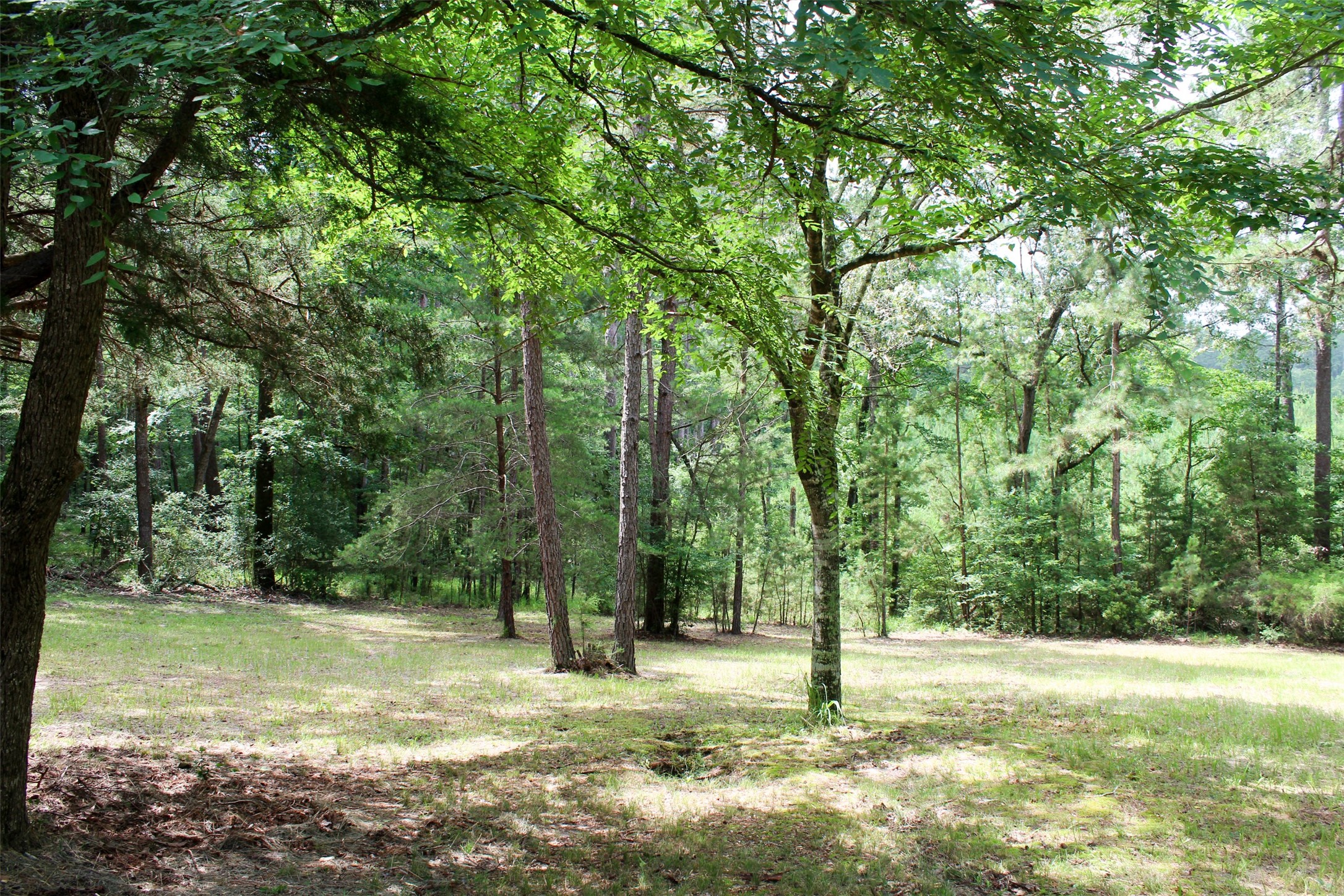 2733 County Road 1560 Grapeland TX 75844
