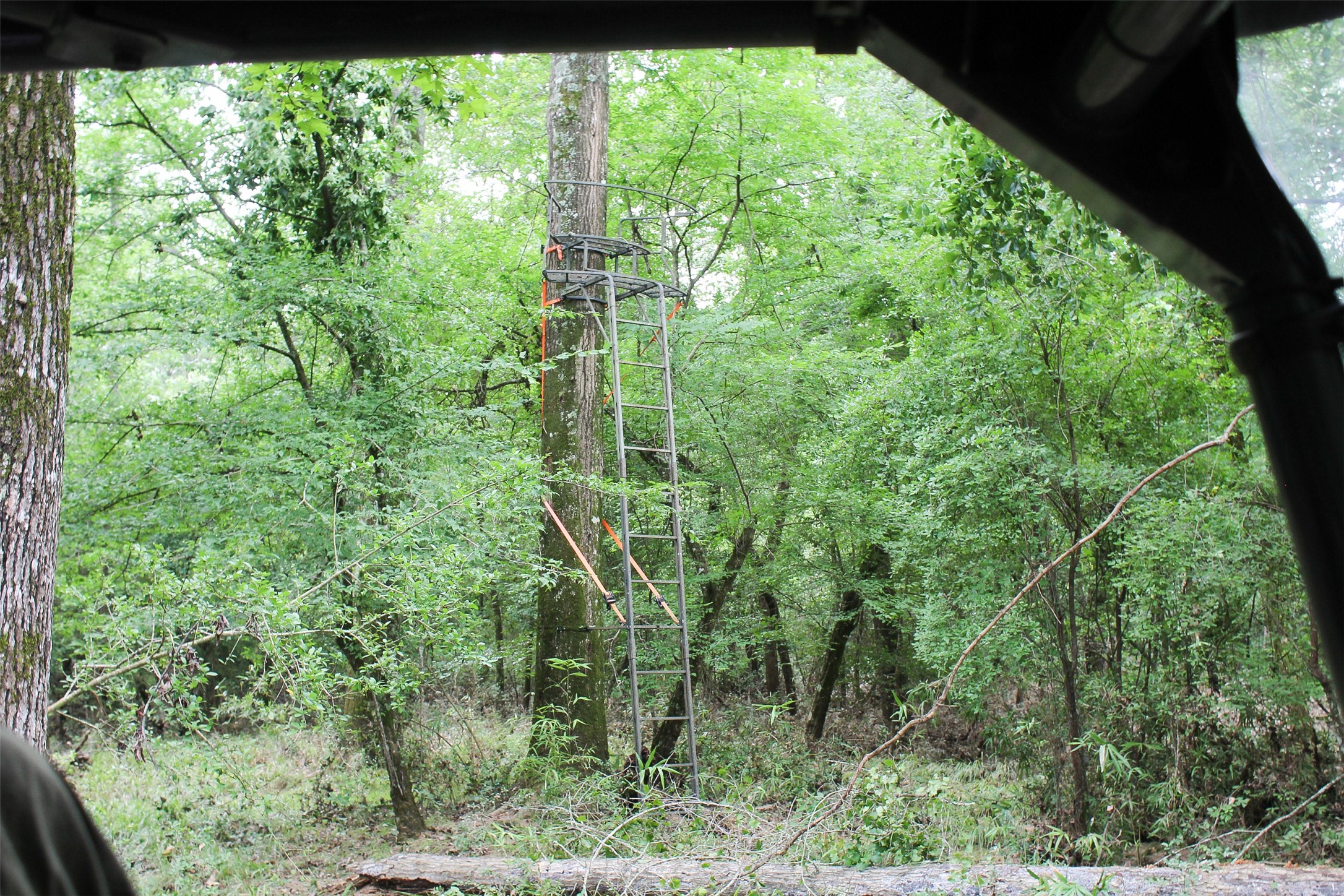 2733 County Road 1560 Grapeland TX 75844