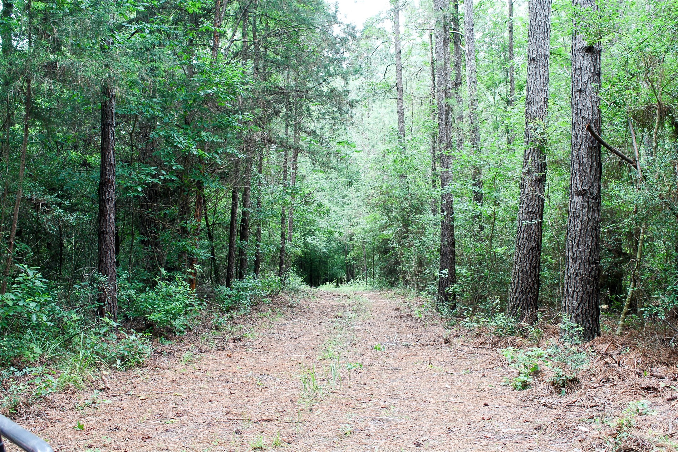 2733 County Road 1560 Grapeland TX 75844