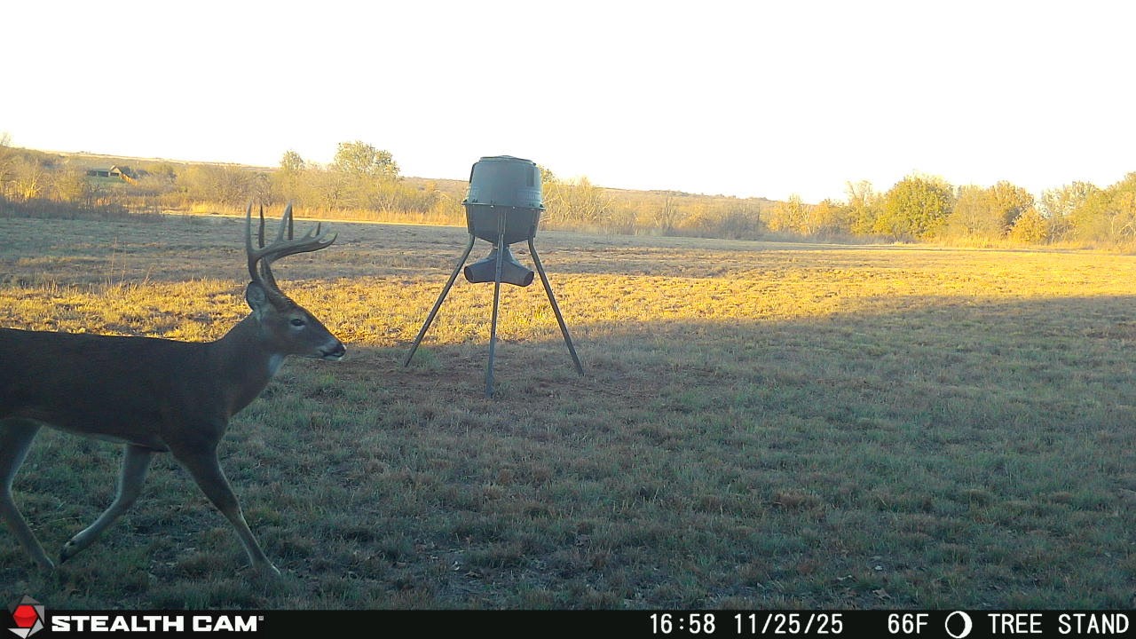 6929 Fm 1806 Nocona TX 76255
