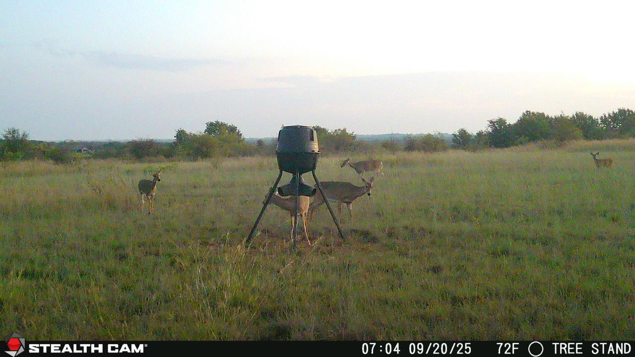 6929 Fm 1806 Nocona TX 76255