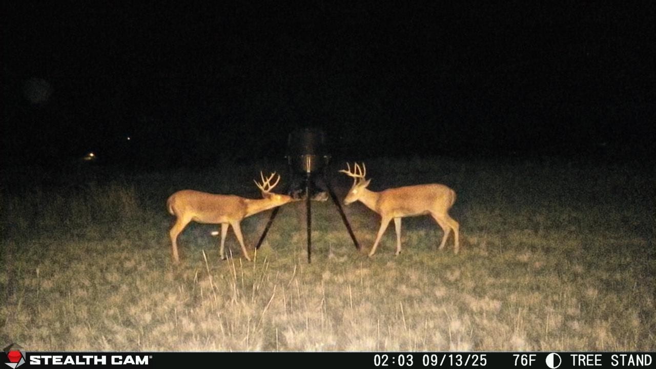 6929 Fm 1806 Nocona TX 76255