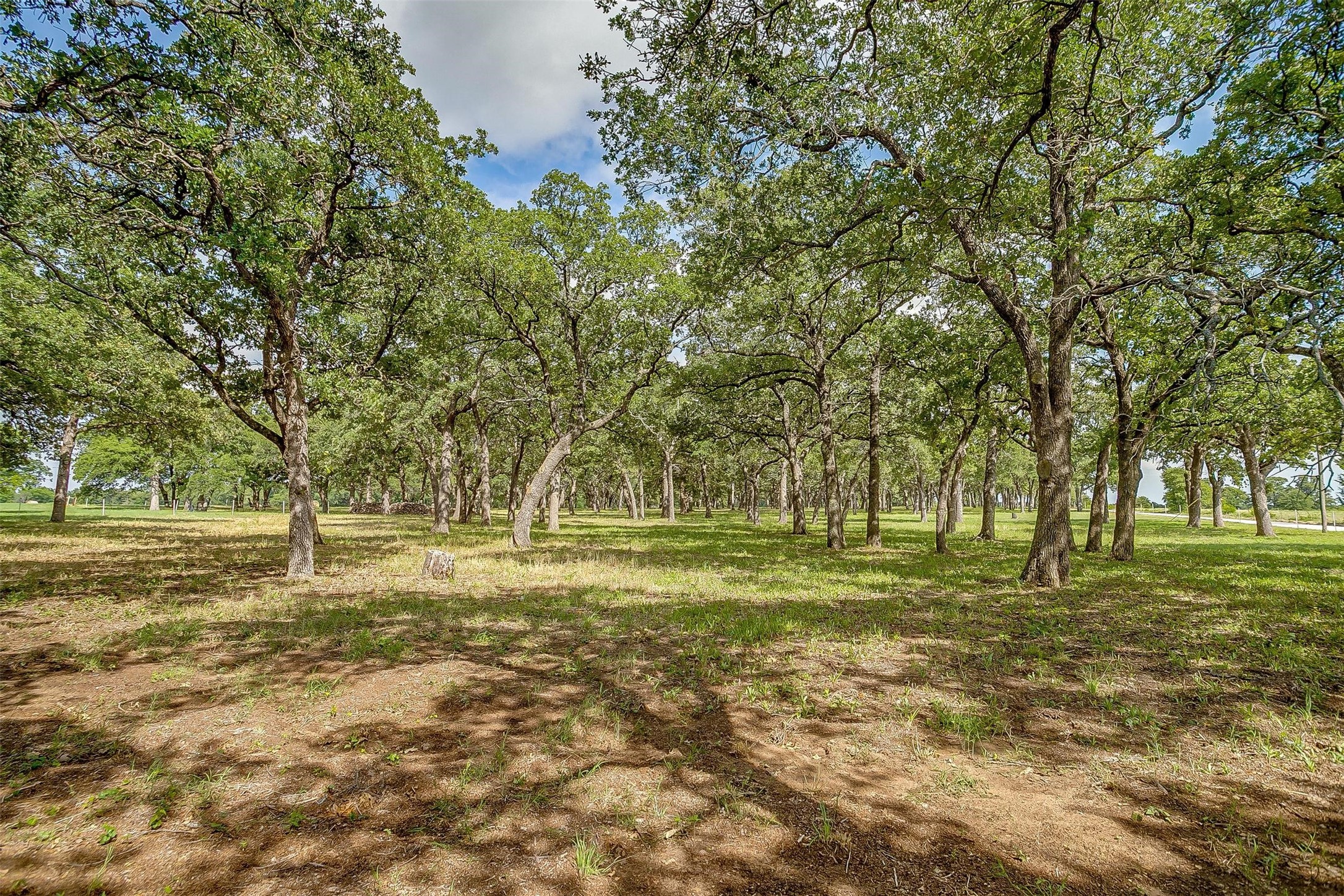 3019 Orchard Road Bowie TX 76230