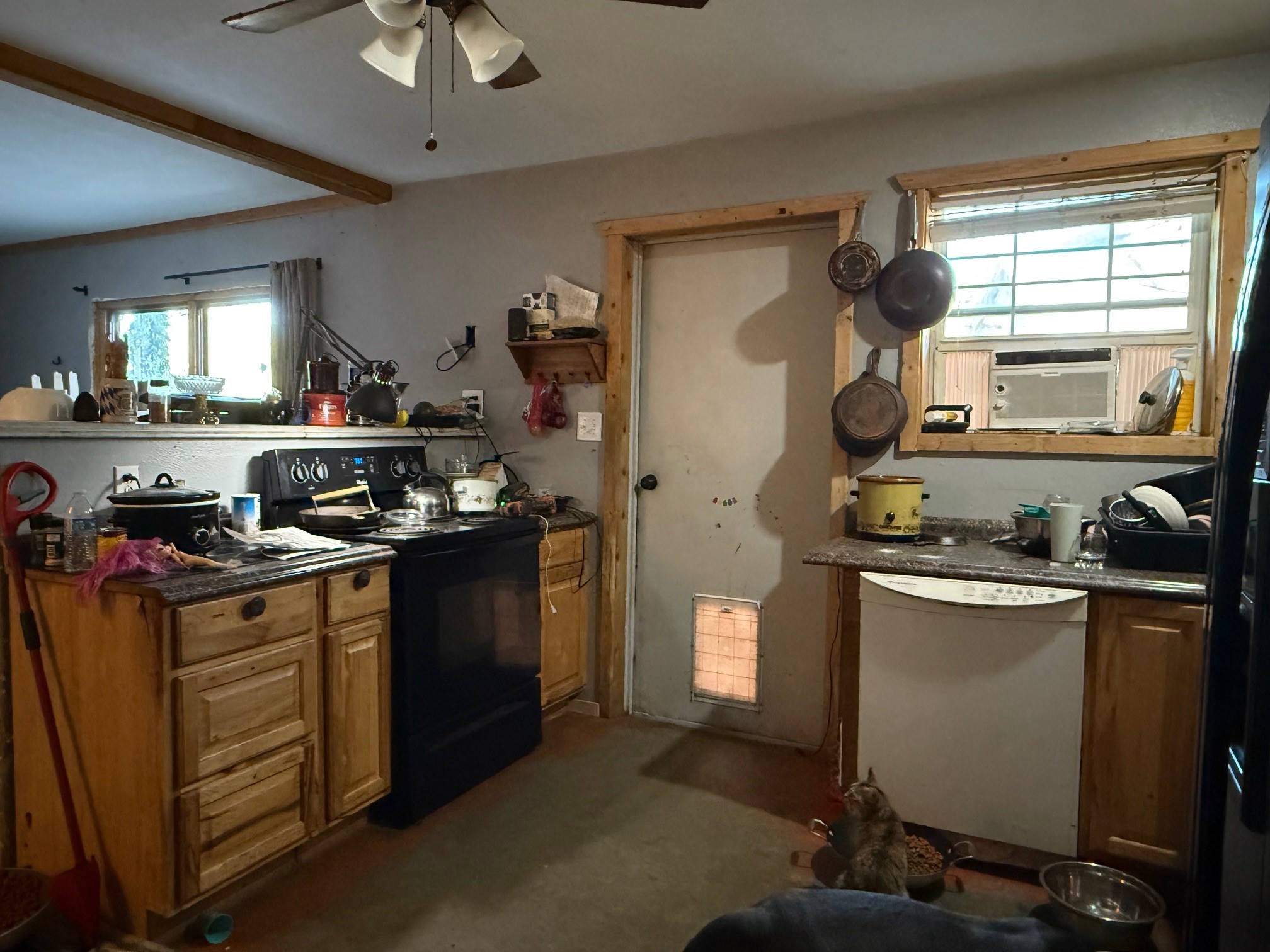 1633 Kay Lane Reno TX 76020