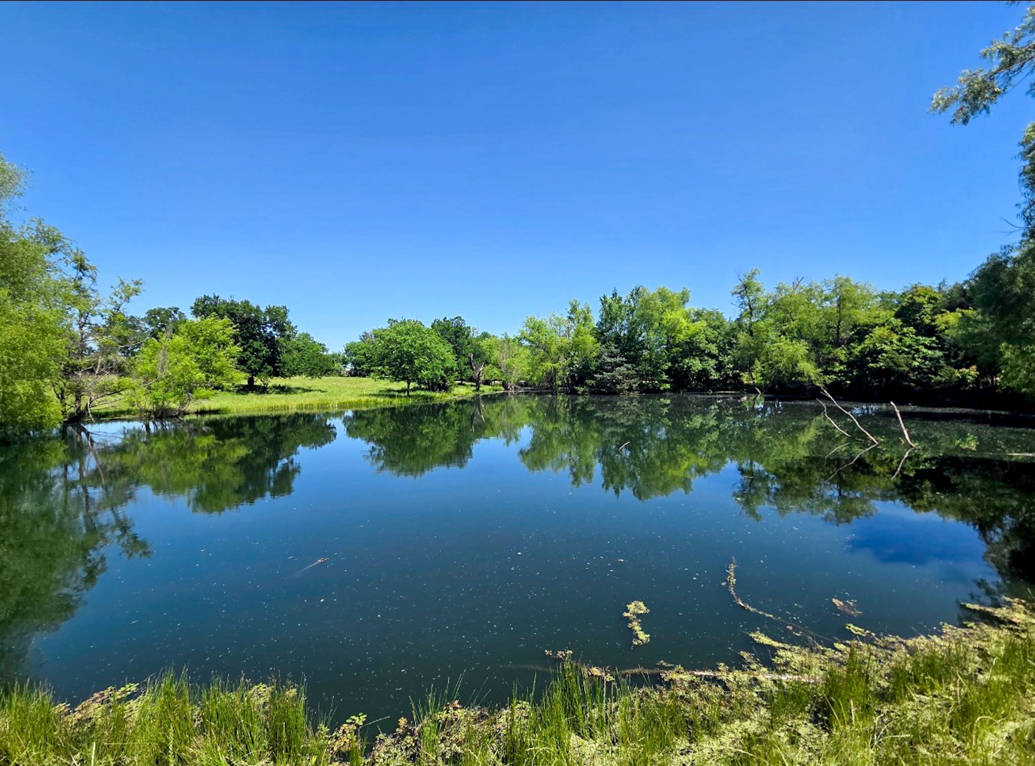 7899 County Road 623 Farmersville TX 75442