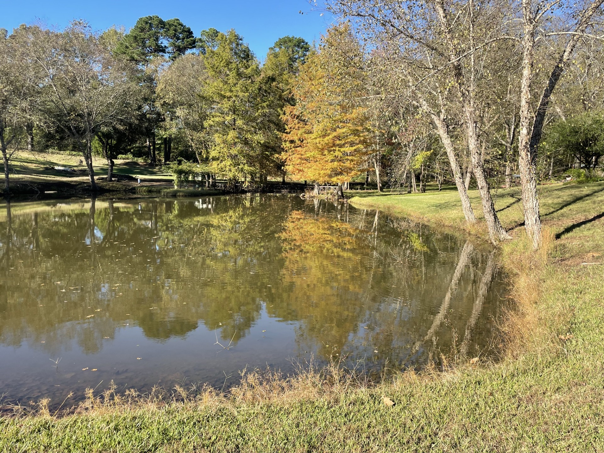 22233 County Road 223 Arp TX 75750