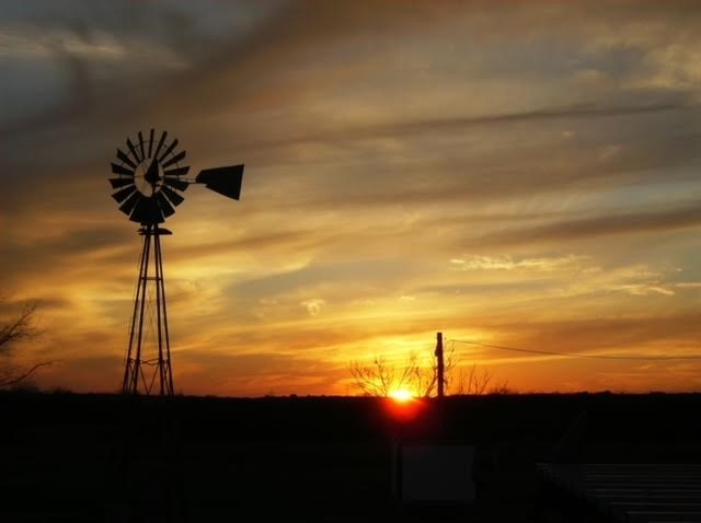 915 Old Oran Road Perrin TX 76486