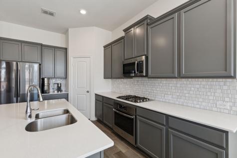 1353 Lake Grove Drive Little Elm TX 75068
