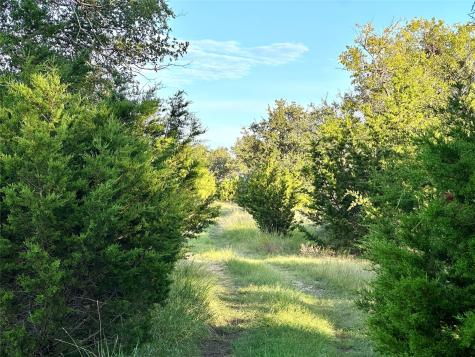 391 County Road 411 Goldthwaite TX 76844