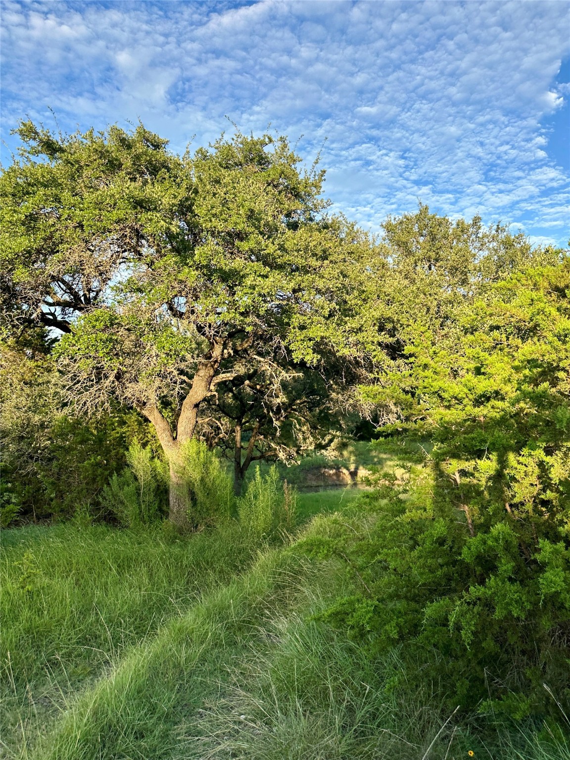 391 County Road 411 Goldthwaite TX 76844