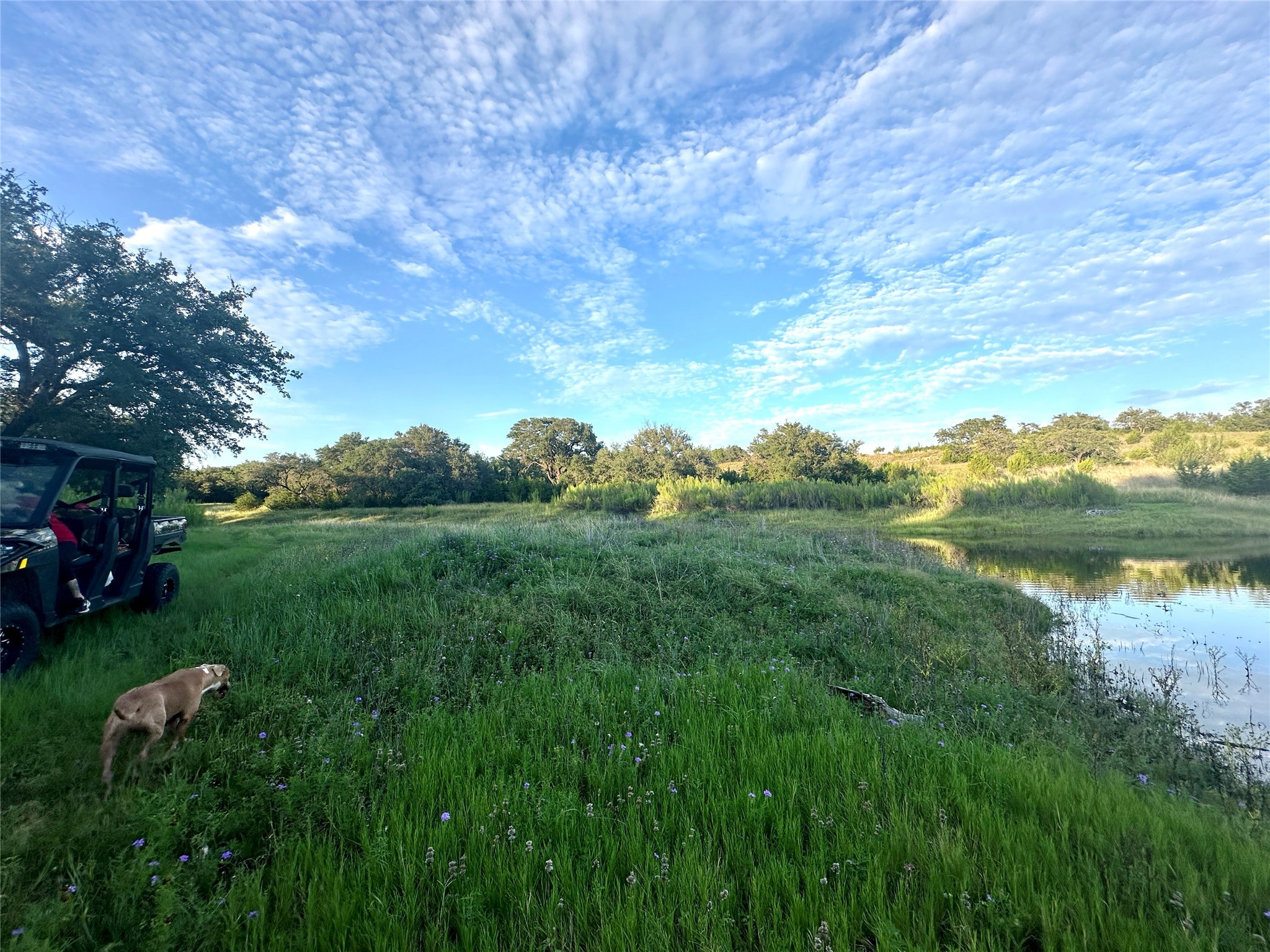 391 County Road 411 Goldthwaite TX 76844