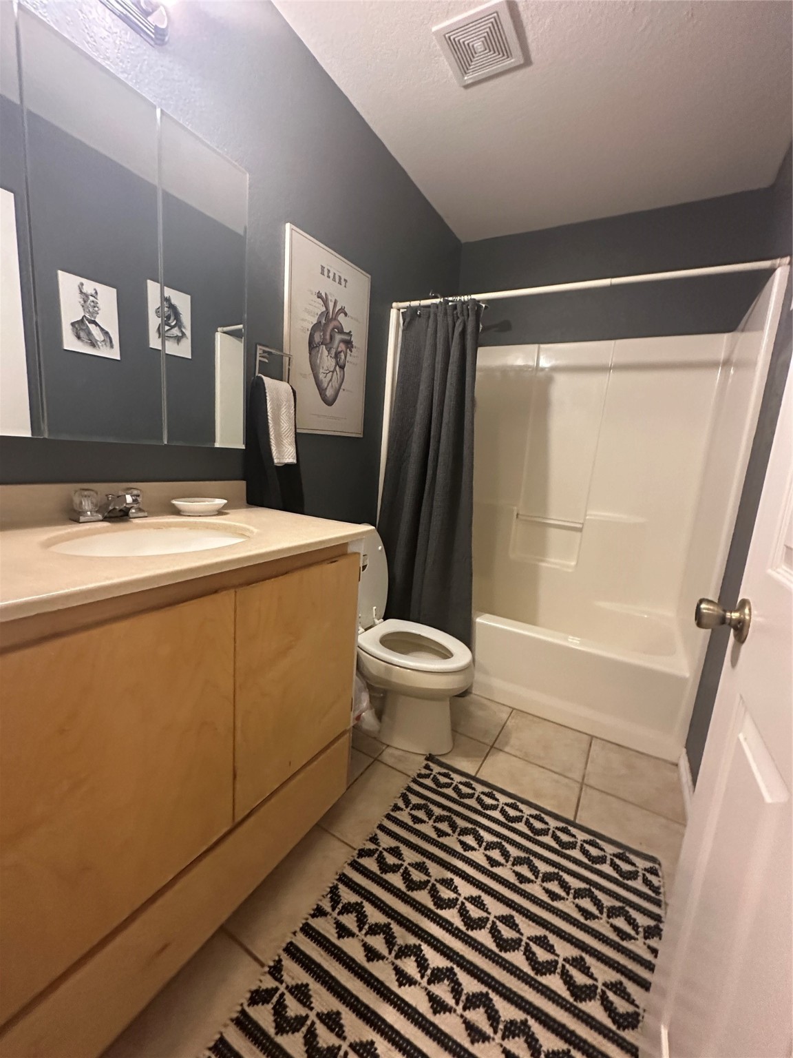 391 County Road 411 Goldthwaite TX 76844