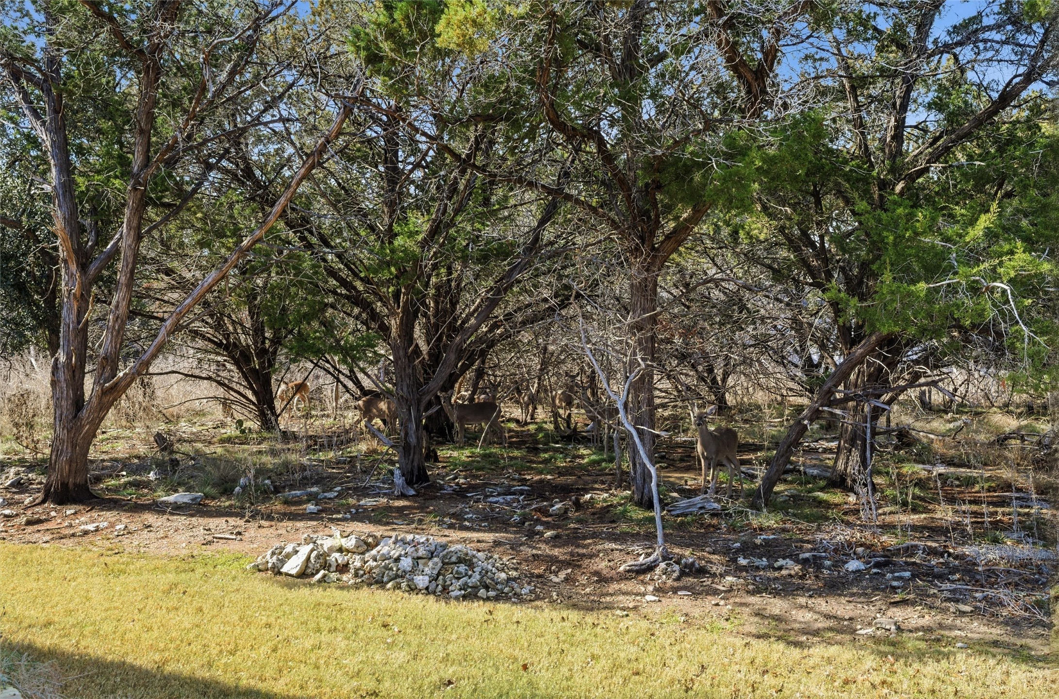 16340 Charlya Drive Temple TX 76502
