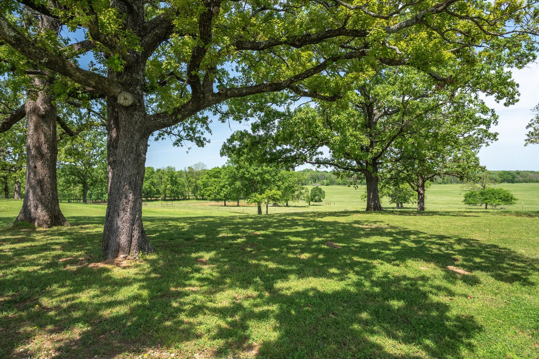 450 Private Road 5815 Grand Saline TX 75140