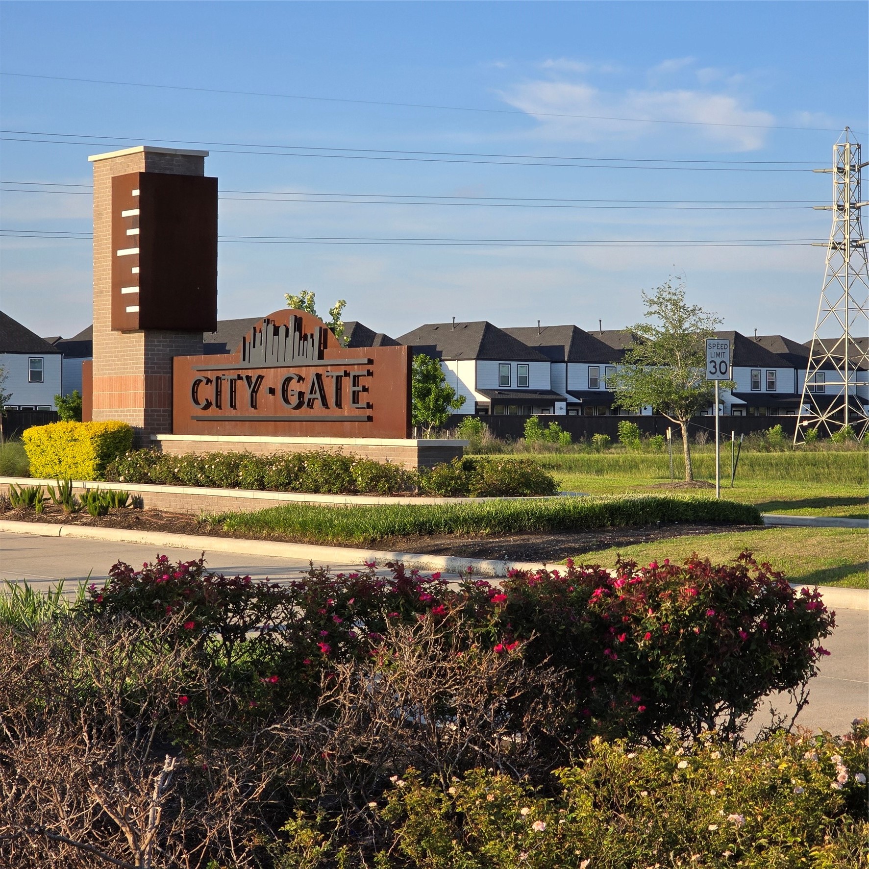 3214 Rainwood Gate Drive Houston TX 77047