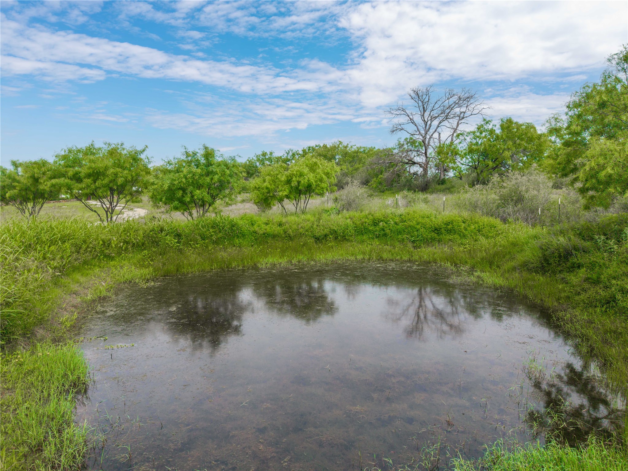 342 County Road 433 Mullin TX 76864