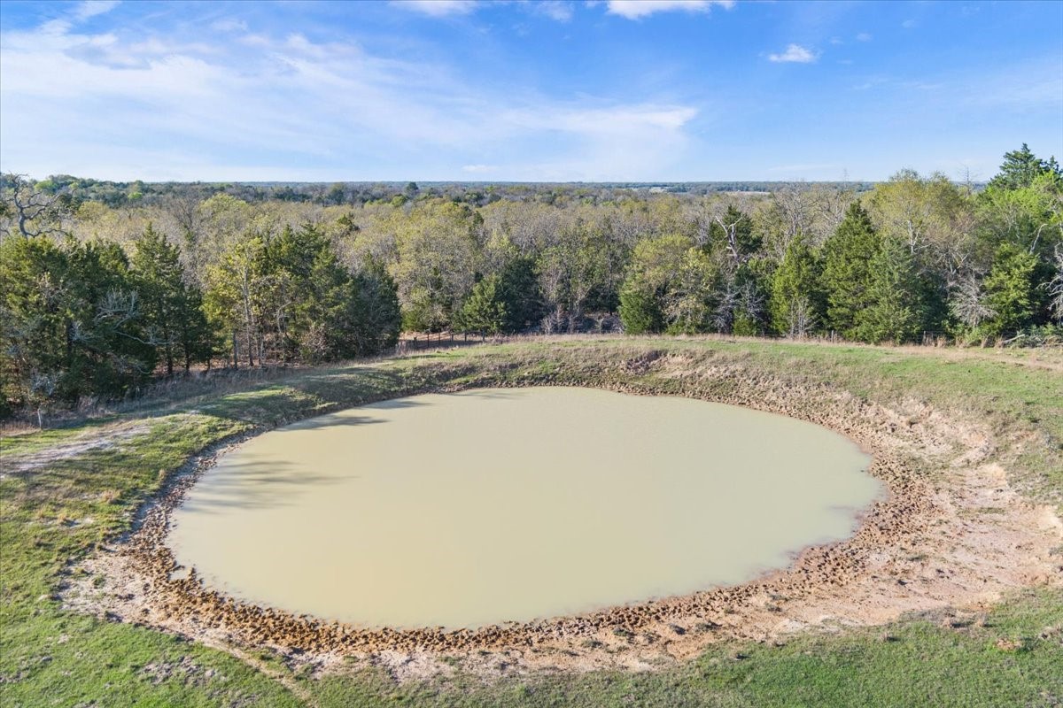 290 Fcr Teague TX 75860