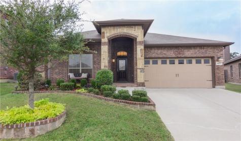 5217 Prestwick Drive Arlington TX 76001