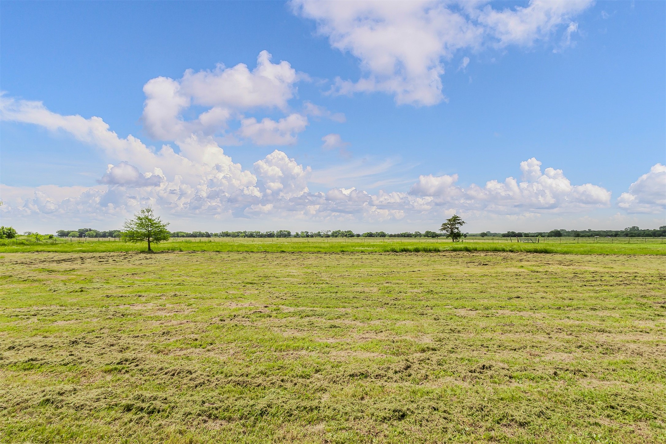 4567 County Road 2604 Caddo Mills TX 75135