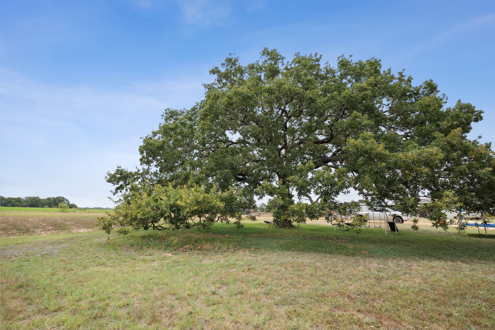 298 Townson Dublin TX 76446