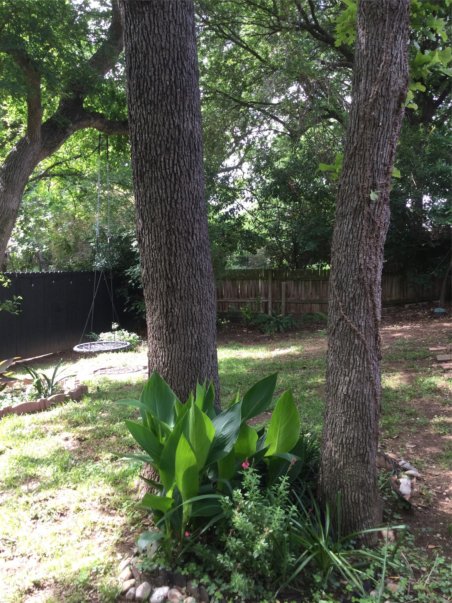 3201 Bridlegate Drive Arlington TX 76016