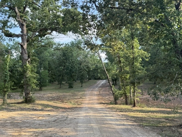 6003 Gowan Drive Malakoff TX 75148