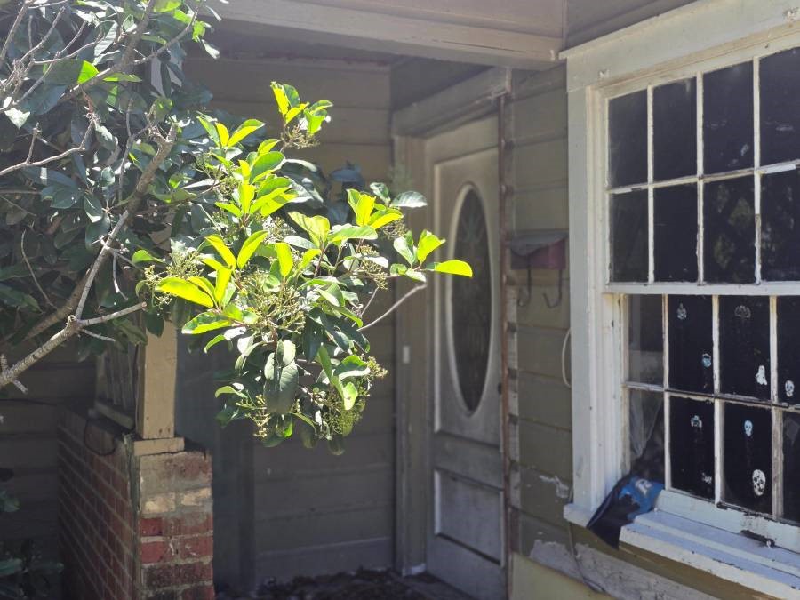 3812 King Street Greenville TX 75401