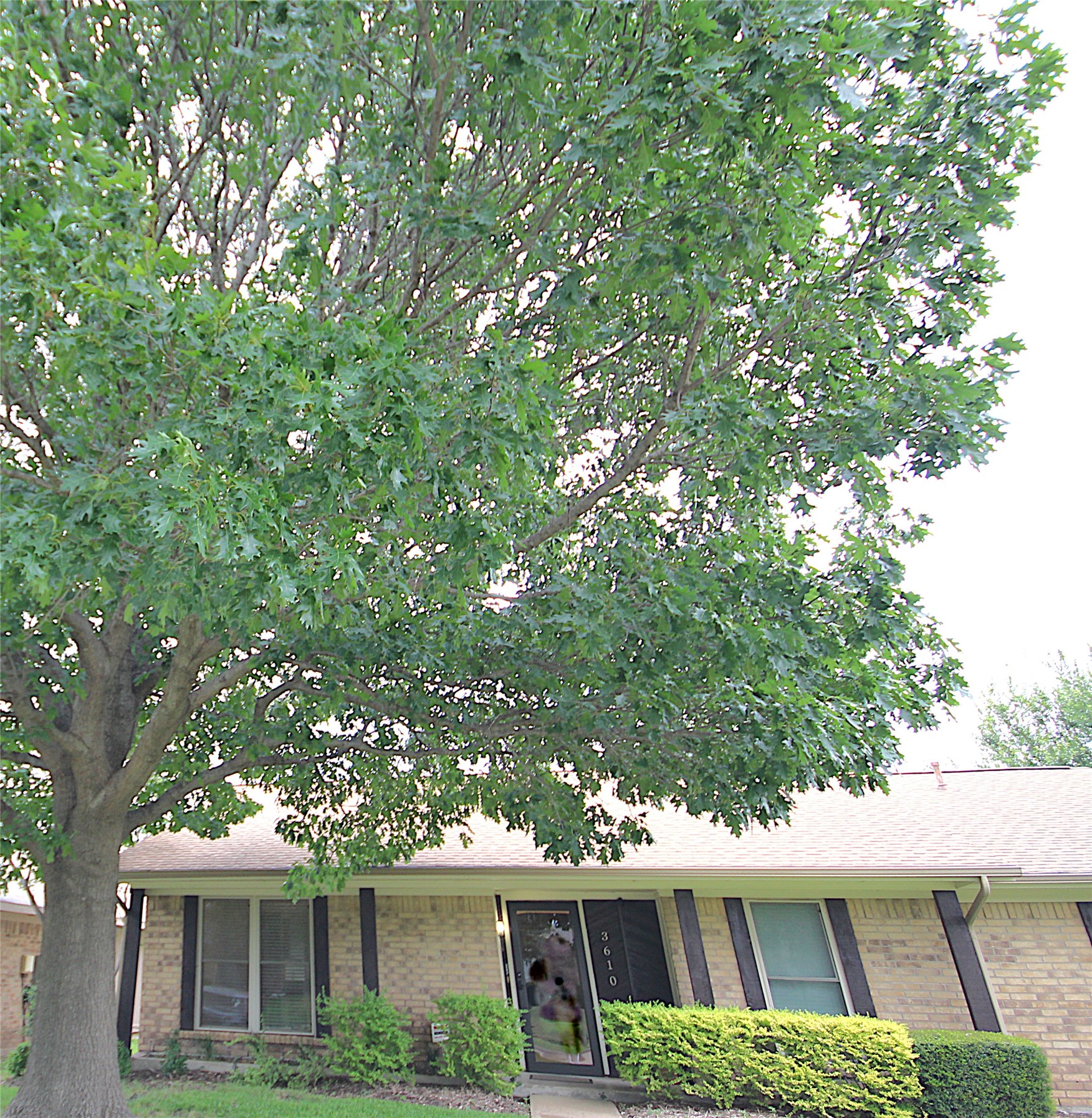 3610 Cheyenne Trail Garland TX 75044