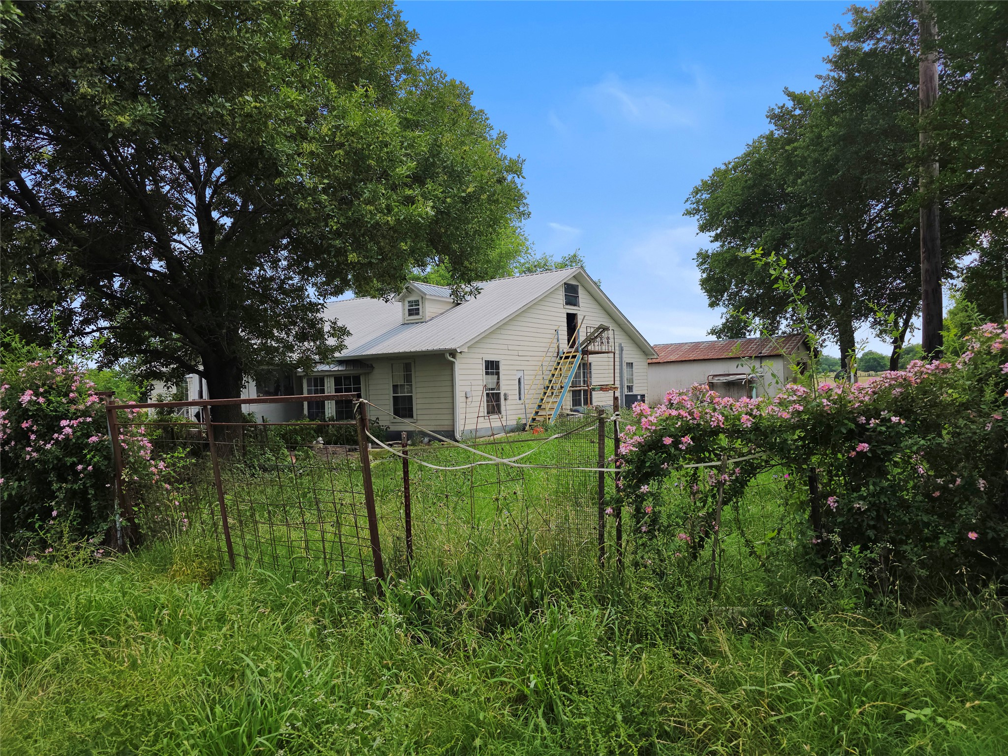 1917 County Road 1144 Miller Grove TX 75472