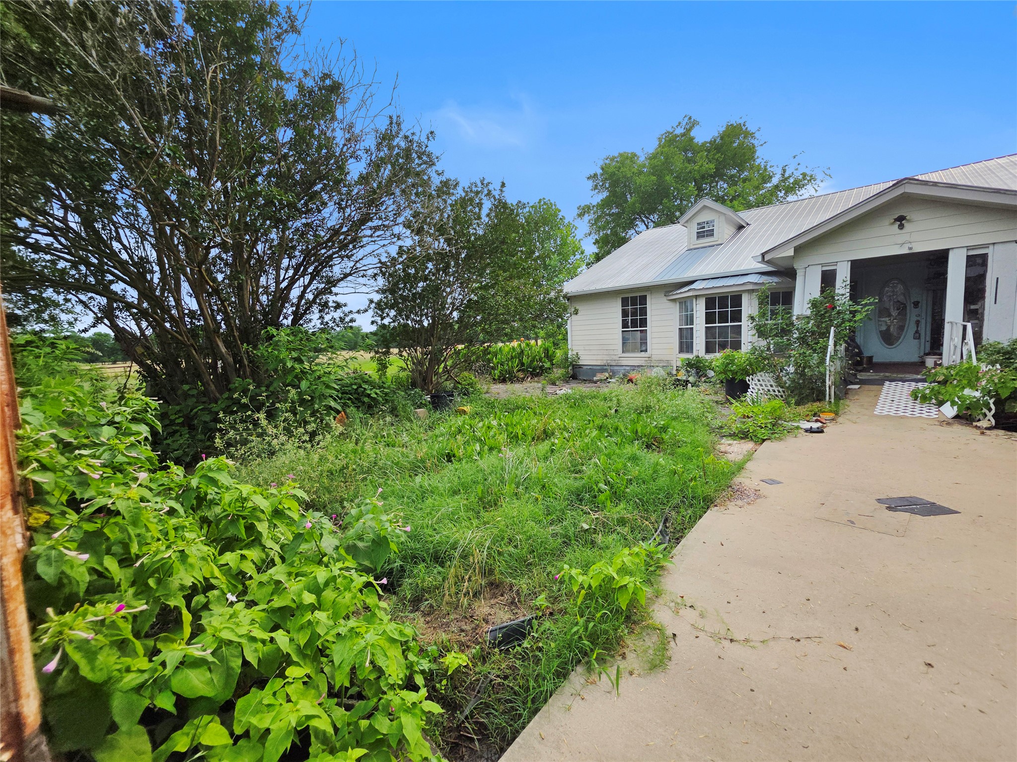 1917 County Road 1144 Miller Grove TX 75472