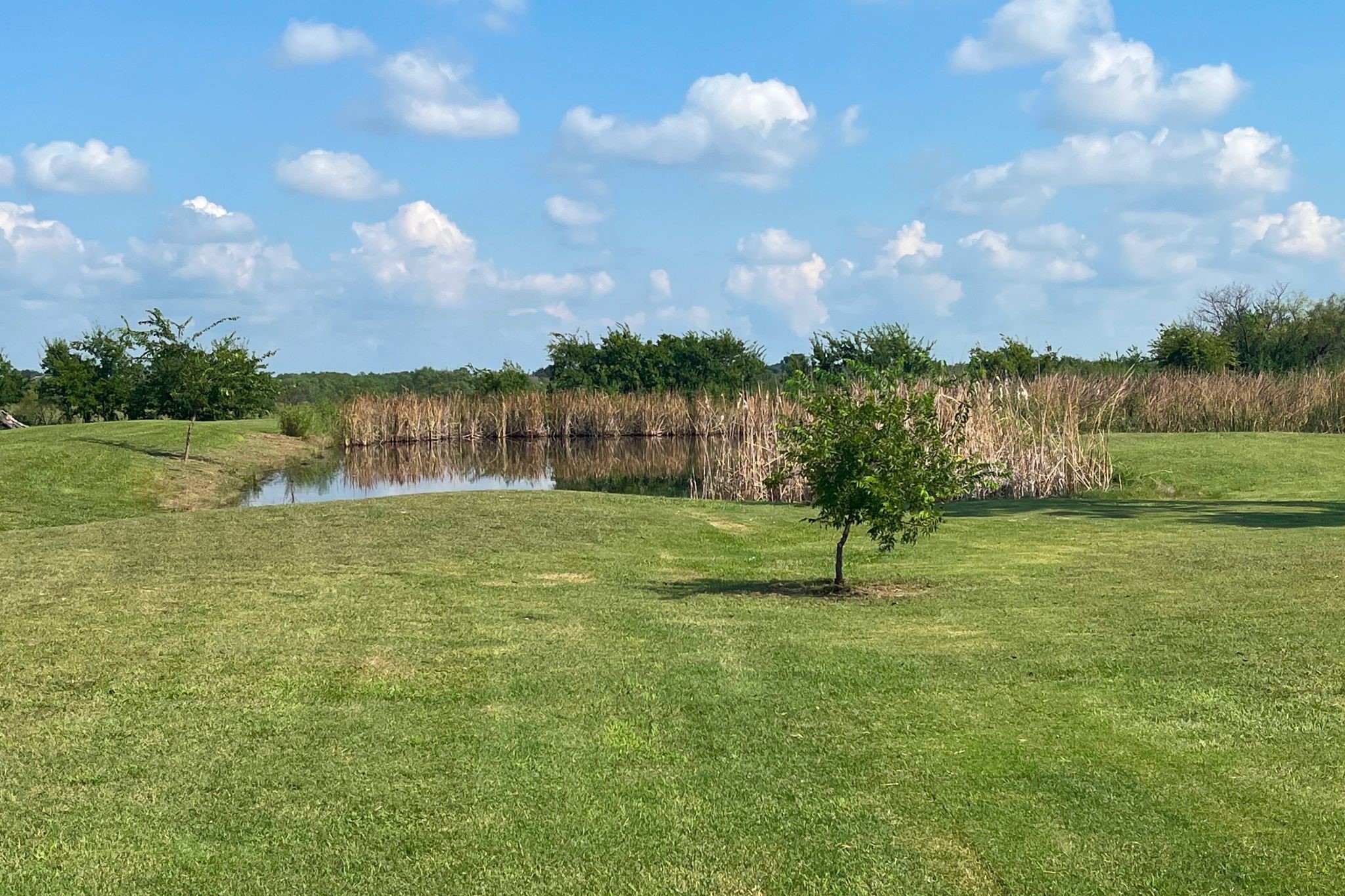 4339 Southmayd Road Whitesboro TX 76273