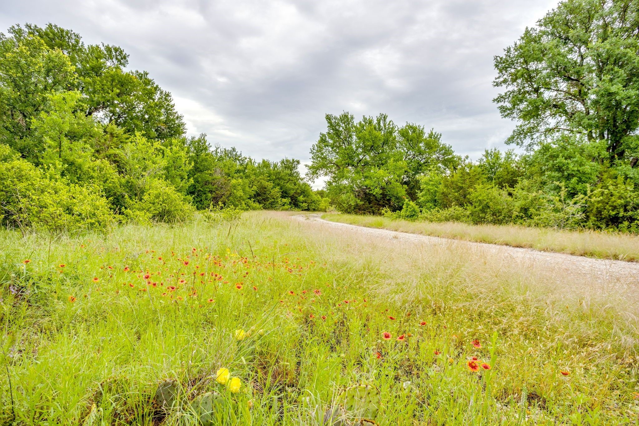 400 S 10th Avenue Santo TX 76472