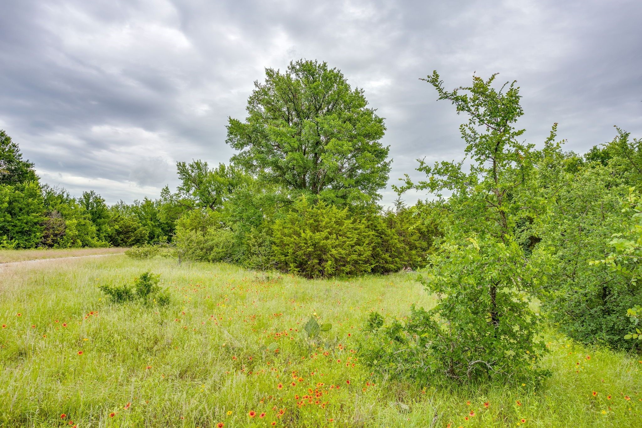 400 S 10th Avenue Santo TX 76472