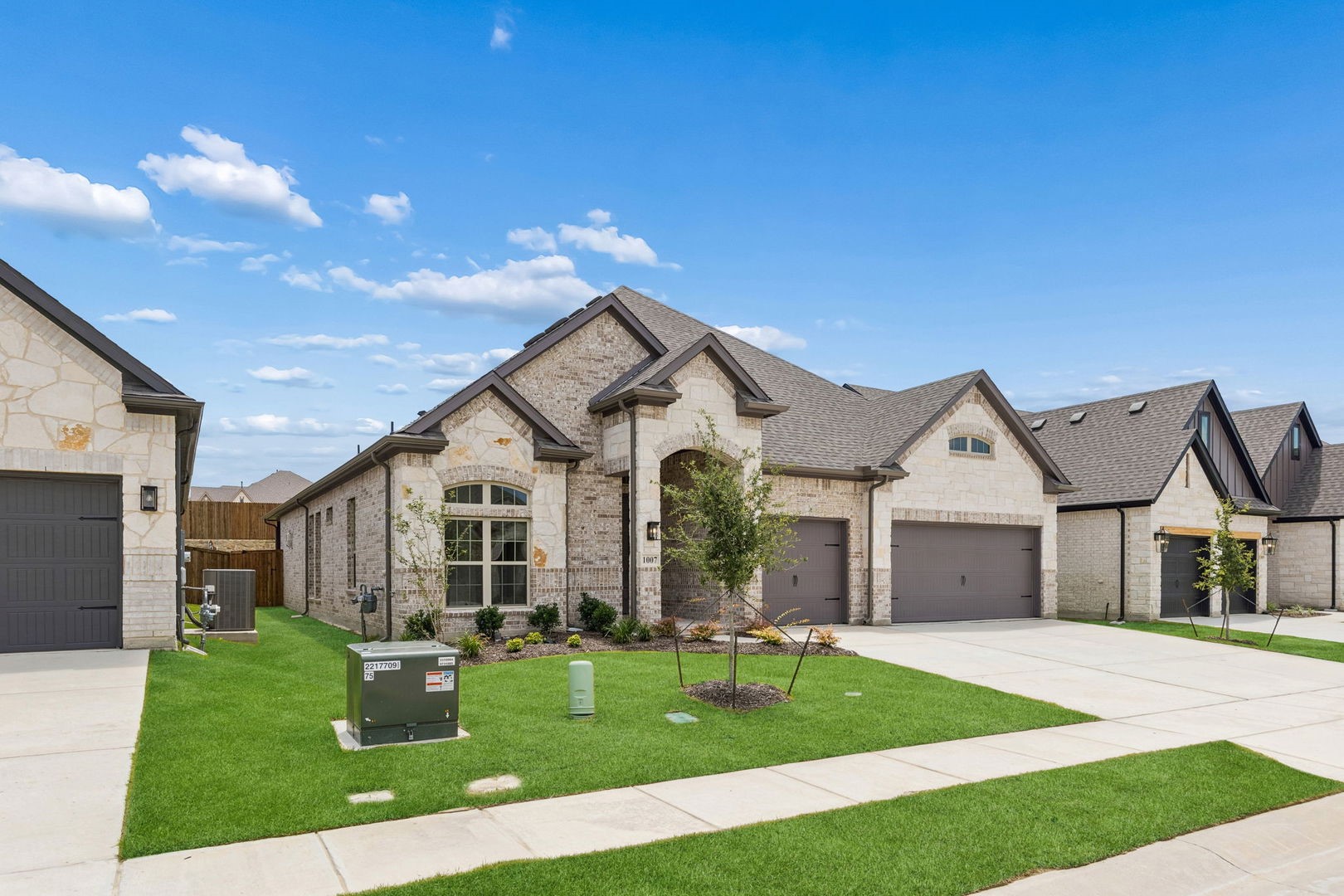 1007 Blue Mist Court Justin TX 76247