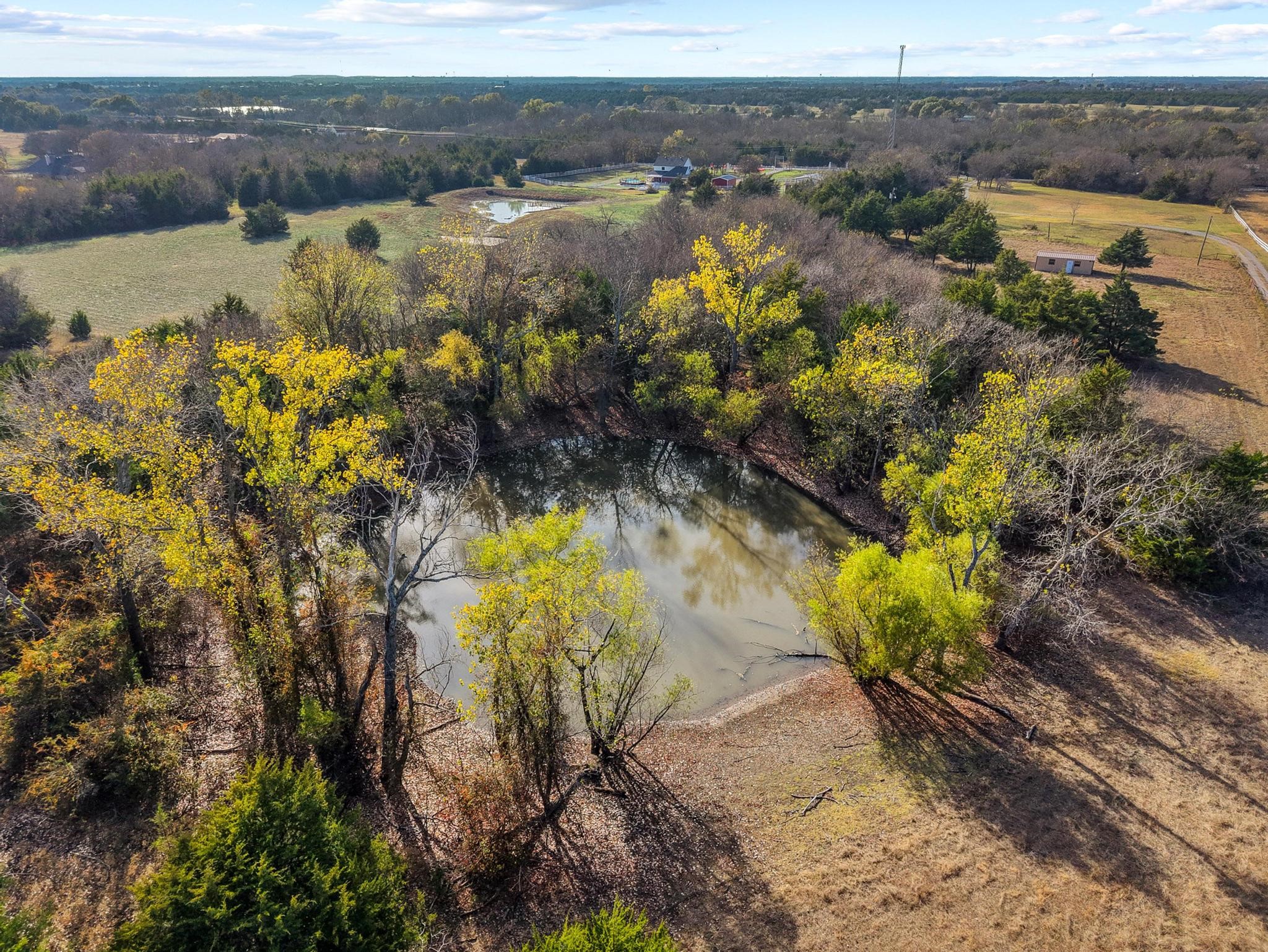 12488 Eastline Road Trenton TX 75490