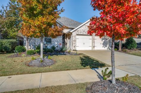 10017 Echo Summit Drive Little Elm TX 75068