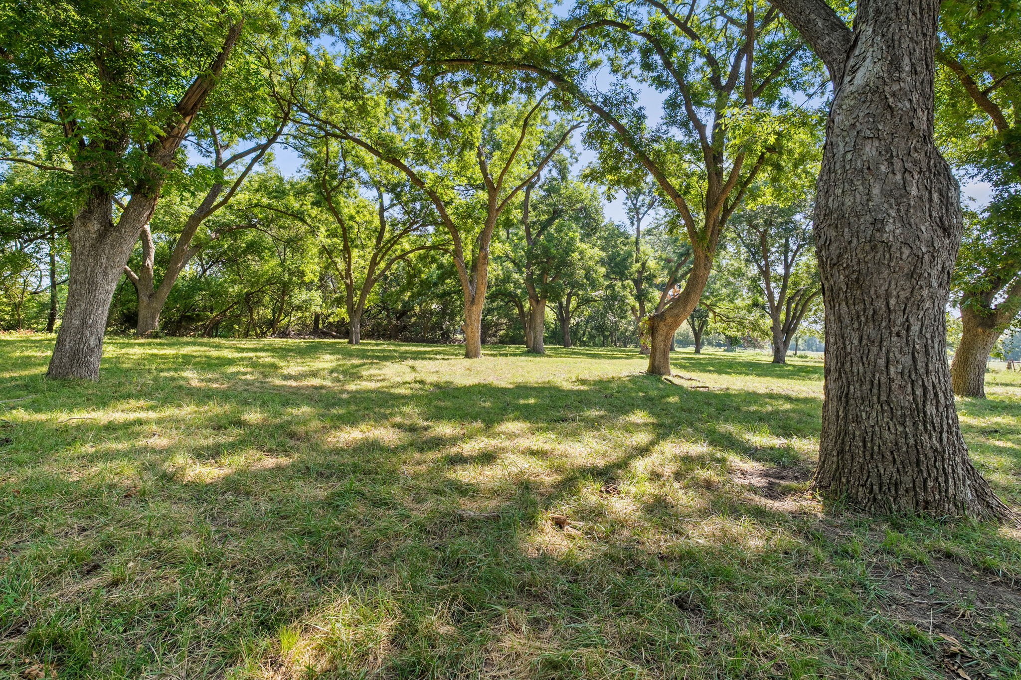 8948 Fm 1827 Anna TX 75409