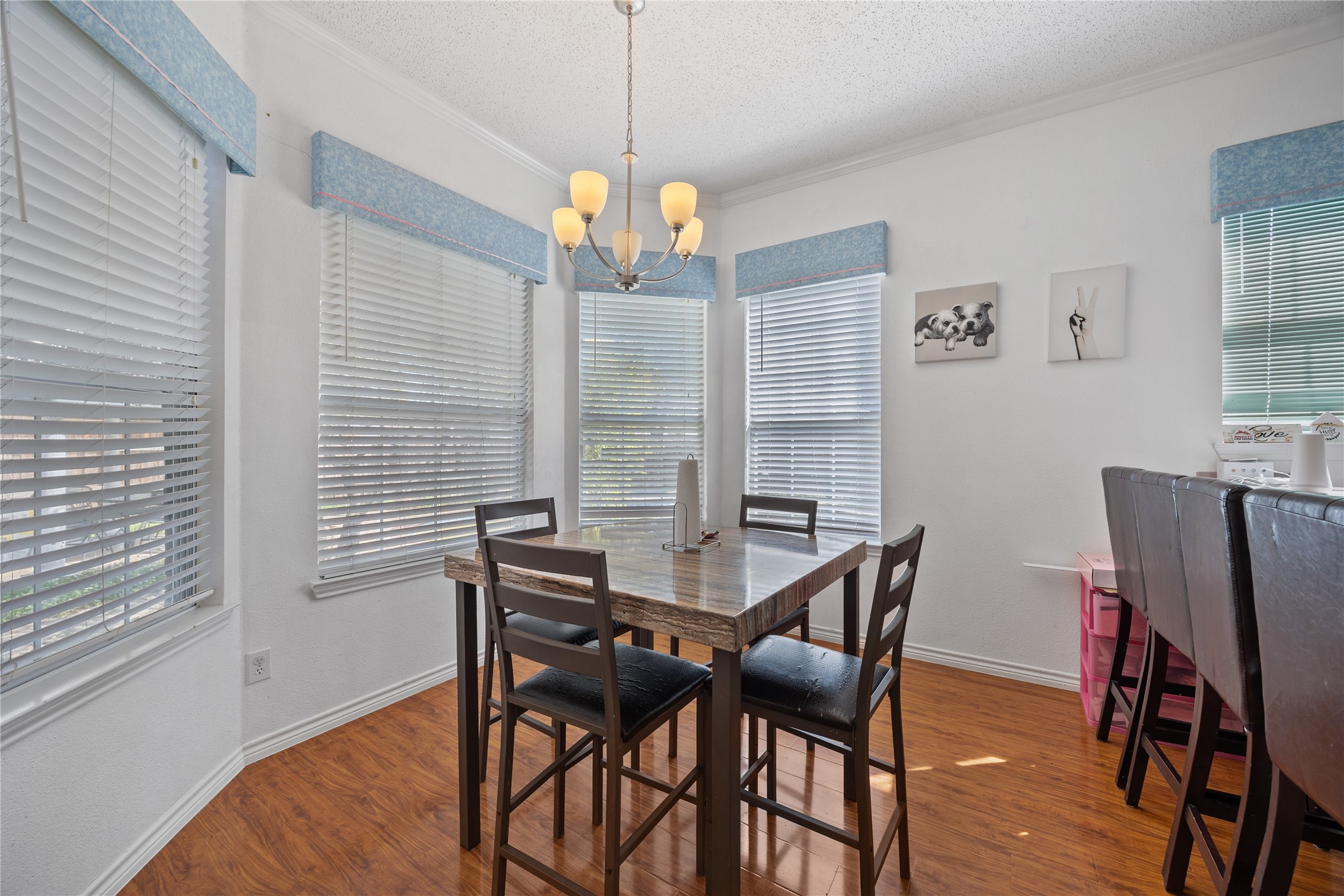 7402 Silver Lake Drive Rowlett TX 75089
