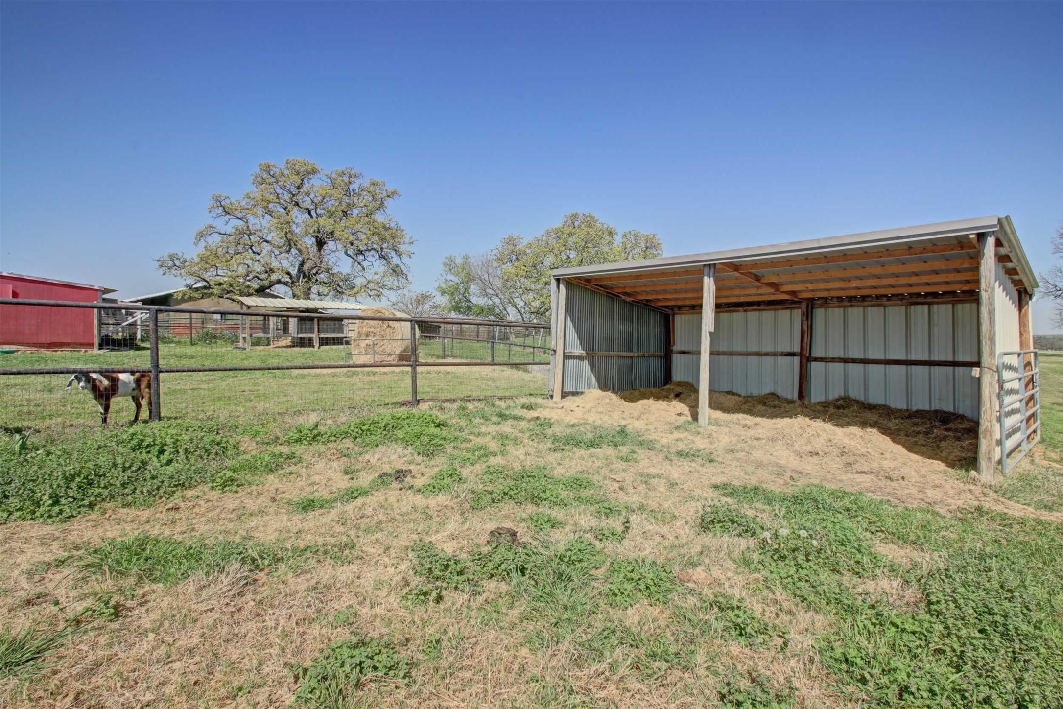 3559 Springfield Road Springtown TX 76082